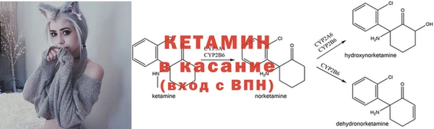 ГАЛЛЮЦИНОГЕННЫЕ ГРИБЫ Аркадак